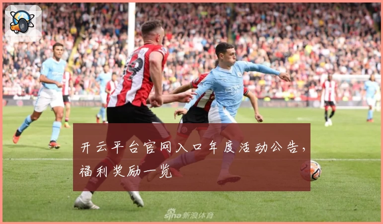 开云平台官网入口年度活动公告，福利奖励一览