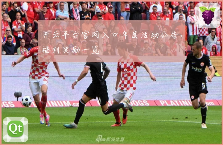 开云平台官网入口年度活动公告，福利奖励一览